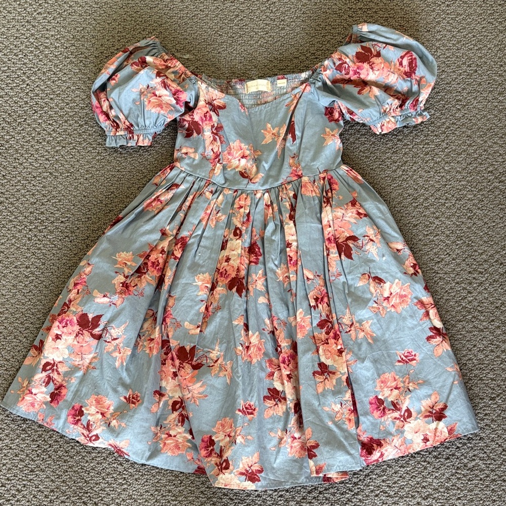 Altar'd State Blue Floral Puff-Sleeve Mini Dress